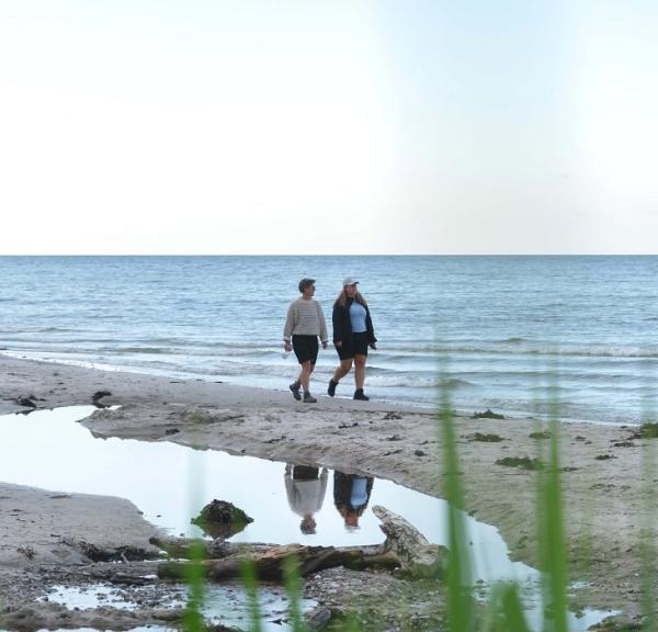 Take a walk along the coast at Storebælt at Teglværksskoven in Nyborg